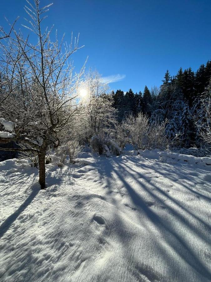 L'Ermitage De Meyriat Villa Brenod Buitenkant foto